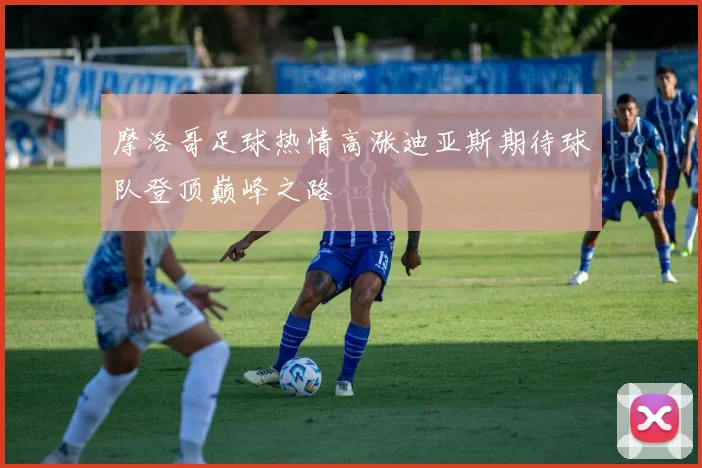 摩洛哥足球热情高涨迪亚斯期待球队登顶巅峰之路