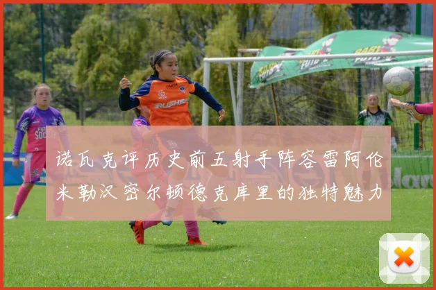 诺瓦克评历史前五射手阵容雷阿伦米勒汉密尔顿德克库里的独特魅力与影响